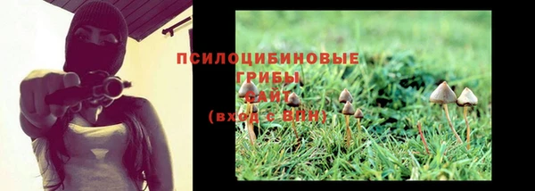 спайс Алексин