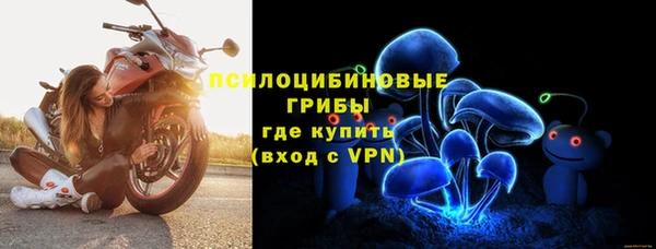 спайс Алексин