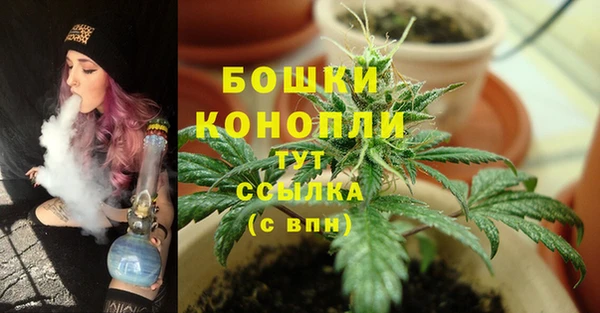 сатива Абинск