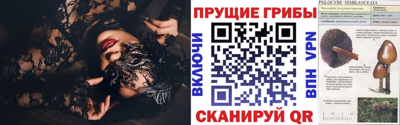 Псилоцибиновые грибы Cubensis  Дегтярск 